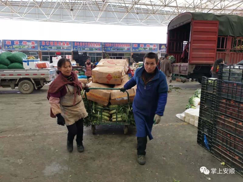 安顺贸卓有限公司实战攻略:从新手到高手